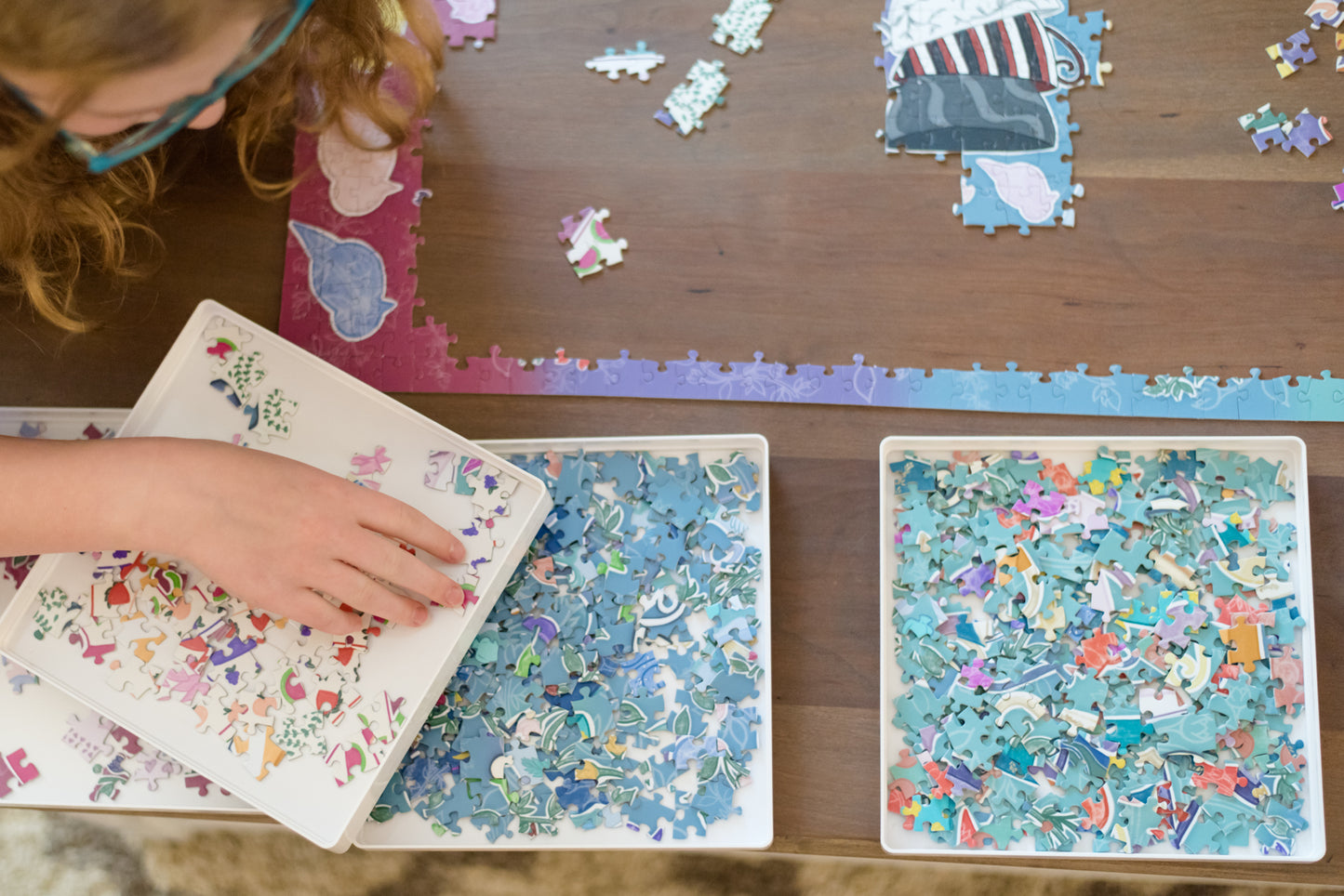 Puzzle Sorting Trays with Lid