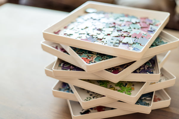 Puzzle Sorting Trays with Lid
