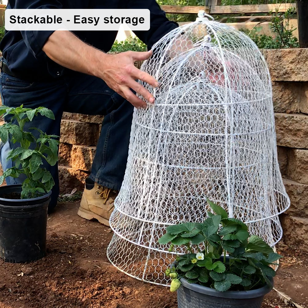 Garden Hacks: 10 Ideas for Wire Cloches - Gardenista