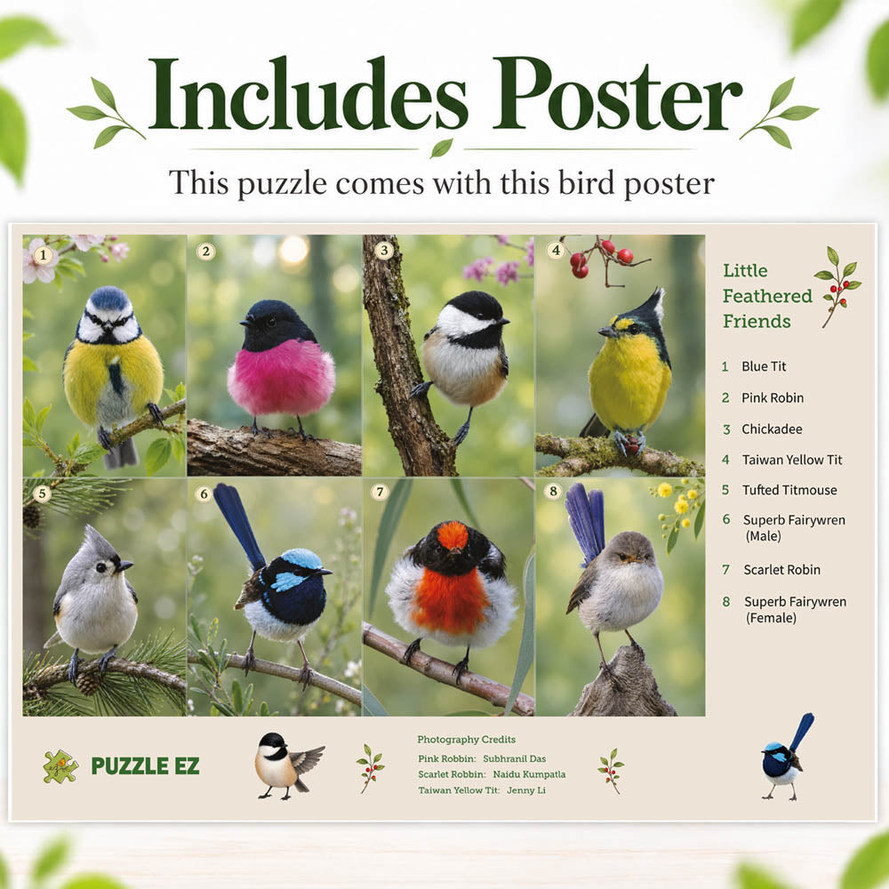 300 Piece Bird Puzzle for Adults – Colorful Real Birds Photos Collage